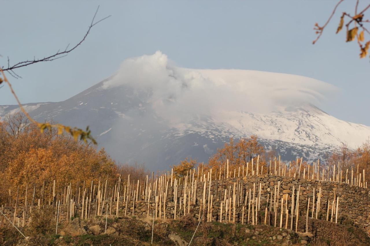 Le Case Del Merlo Turismo Rurale Milo Luaran gambar